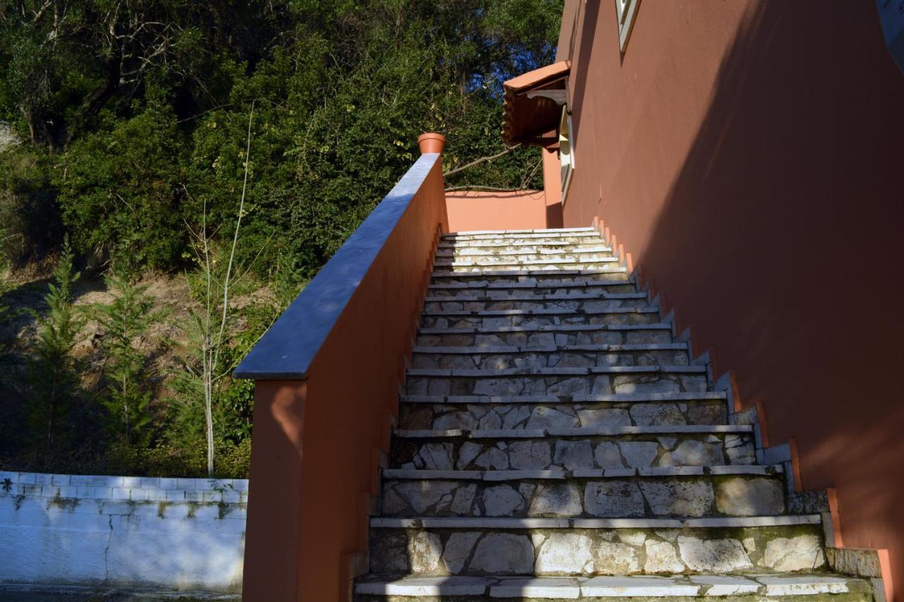 Papadatos Apts With Amazing View - 5Mins From The Beach Kontogialos Экстерьер фото